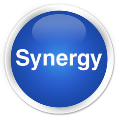 Synergy premium blue round button