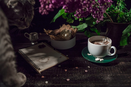 Coffee and cream macaroons in a white plate with coffee cup, cco notebook with a pencil under lilac branch with cat .