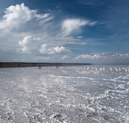 White crystals on the dead saline. Blue sky with white clouds. Landscape of a saline