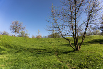 beautiful morning light in public park with green grass field