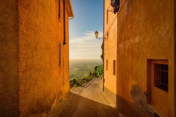 Fototapeta premium Panorama of chestnut Carducci in the Etruscan coast of tuscany in italy