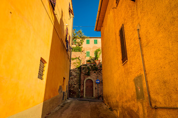 Obraz premium Panorama of chestnut Carducci in the Etruscan coast of tuscany in italy