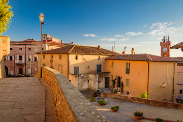 Panorama of chestnut Carducci in the Etruscan coast of tuscany in italy