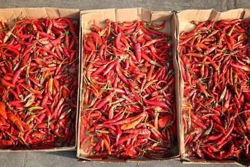 Fototapeta premium Drying peppers in Bangkok market