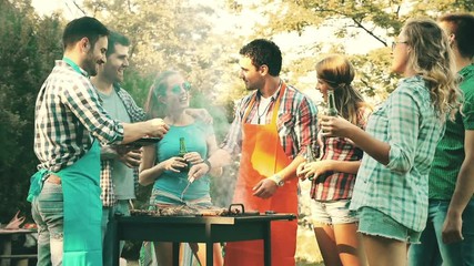 Friends having a barbecue party in nature