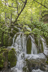waterfall stream through the forest "Plitvice Lakes" National Park, Croatia