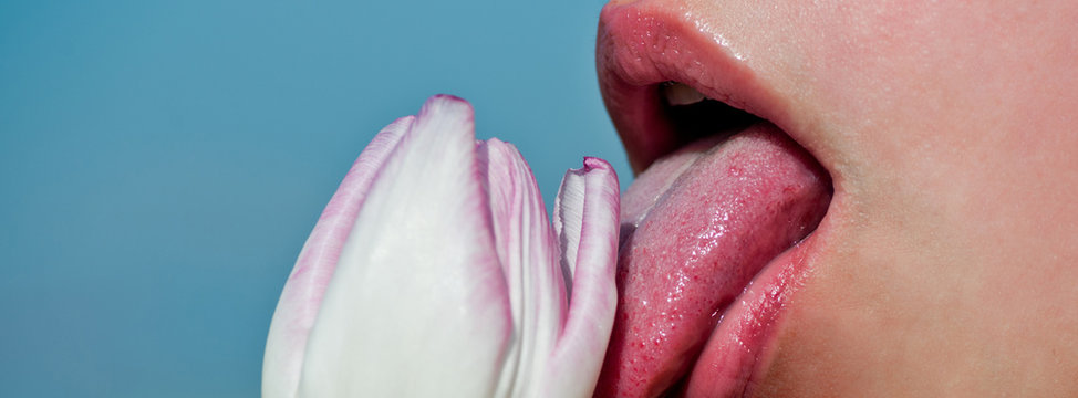 tongue or woman or girl lick pink flower of tulip