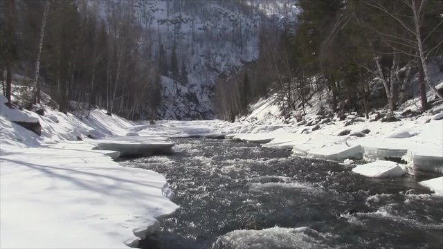 Water flowing in the river in spring, Ursul River, Altai, Russia  