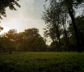 Beautiful nature at morning with sun in big city park