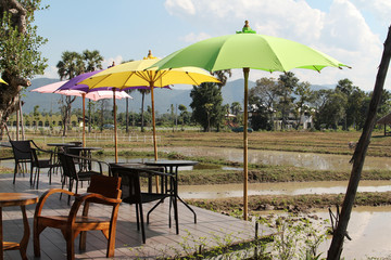 Umbrella in a coffee shop in the field.