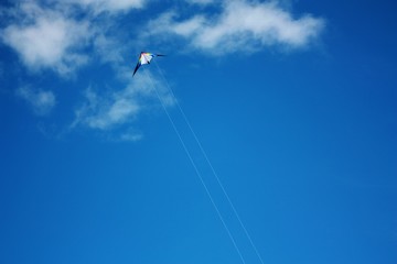 Fototapeta na wymiar Kite flying on the beach against the background of a beautiful blue sky.