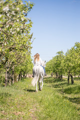 Beautiful girl riding a horse on a white horse in the garden