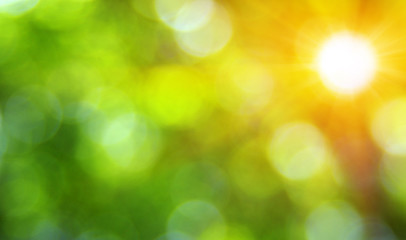 Green blurred background