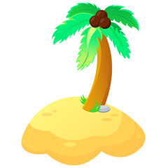 illustration of palm tree in