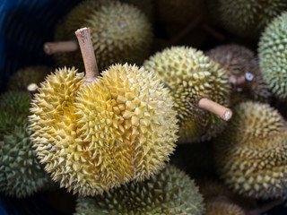 Naklejka na ściany i meble fresh durian 