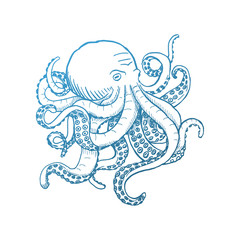 Octopus. Vector vintage illustrations. Isolated on white background.