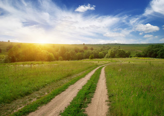 Naklejka premium road in field