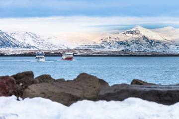 Travel Beautiful view of the Iceland winter season by ferry or cruise ship. Snow-capped mountain in...