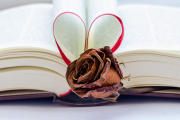 book with dry rose and heart