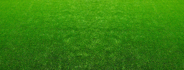  Texture green lawn