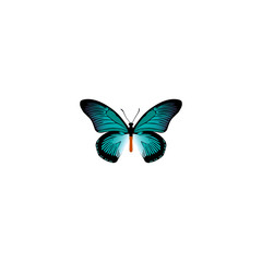 Fototapeta na wymiar Realistic Tailed-Blue Element. Vector Illustration Of Realistic Pipevine Isolated On Clean Background. Can Be Used As Bluewing, Butterfly And Blue Symbols.