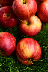 fresh apple fruit red color on green grass, natural background
