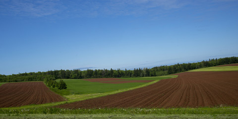 Farmland on Prince Edward Island Canada