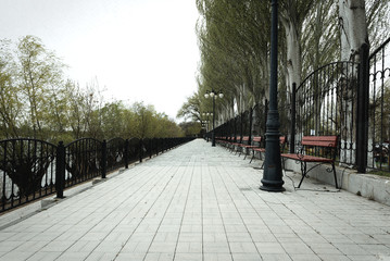 Empty benches in the park avenue..