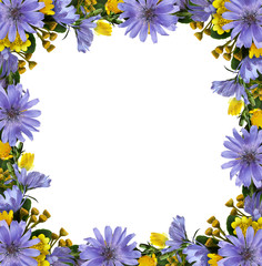 Wild flowers frame
