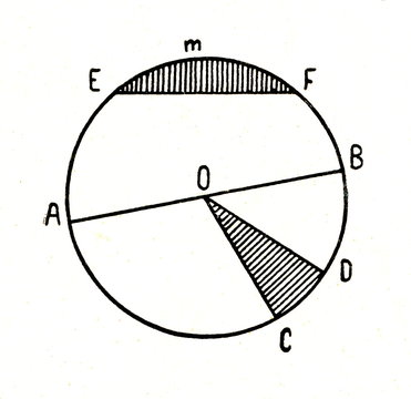 Diameter, sector and segment of circle