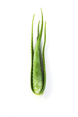 aloe vera isolated