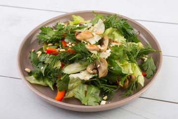 Green raw vegetable salad