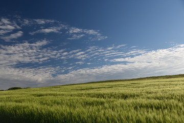 Schönes Wetter