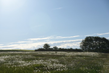 Schönes Wetter