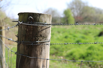 Obraz na płótnie Canvas Bard wire fence