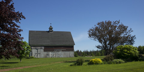 Barn surrounded by trees, Prince Edward Island, Canada