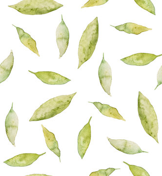seamless summer leaves. leaf hand painted, watercolor pattern. for design, textile, invitation, wallpaper , card,