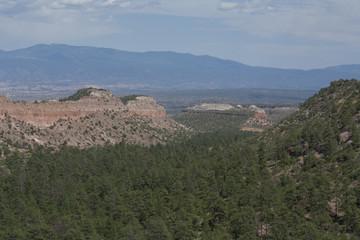 Fototapeta na wymiar Los Alamos canyon