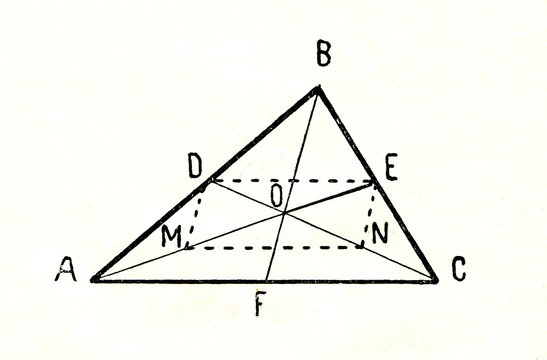 The triangle medians and the centroid