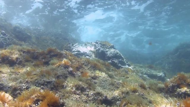 Costa Brava, diving the Mediterranean sea, Waves and gulf, Spain