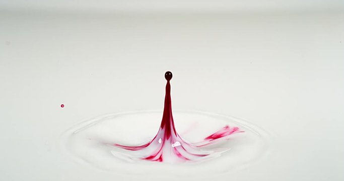 Red Ink falling into Liquid against White Background, Slow motion 4K