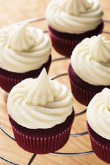 Red Velvet Cupcakes with Cream Cheese Frosting