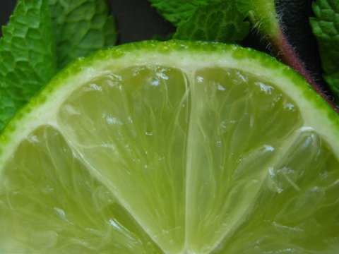 Slice Lime Macro 