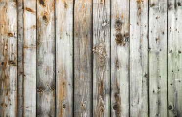 Wooden background. Texture of wood. Shades of gray
