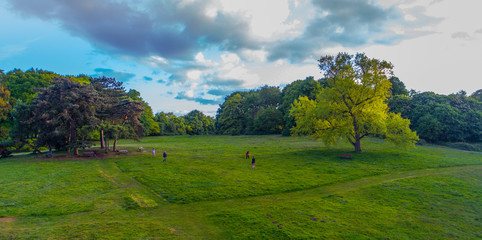 Fototapeta premium Friends at the park