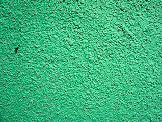 Green background, plaster texture