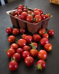 Tomatoes from garden