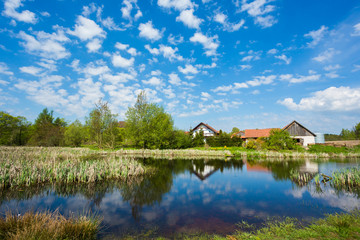 Fototapeta premium Spring in the countryside