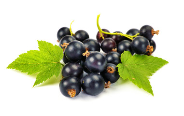 black currants with leaves