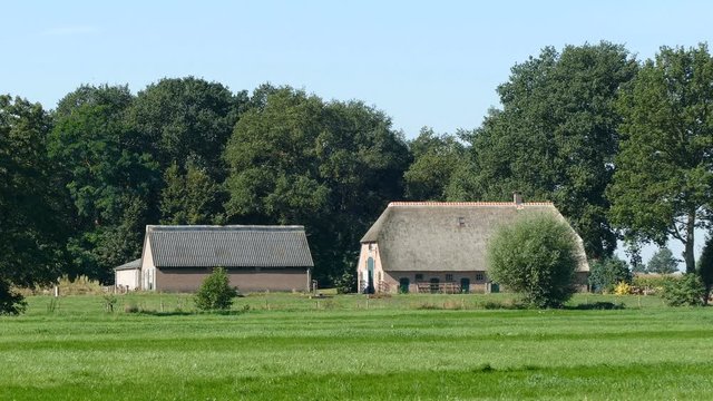 Dutch landscape with farmhouse